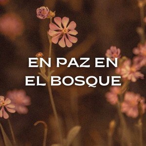 Meseta Parpadeante