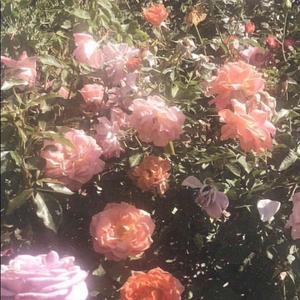 平日平山海（《平日》广播剧OST）（翻自 少年同盟）