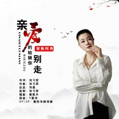 亲爱的姑娘你别走 (DJ伟然版)