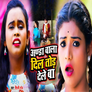 Anda Vala Dil Tod Dele Ba