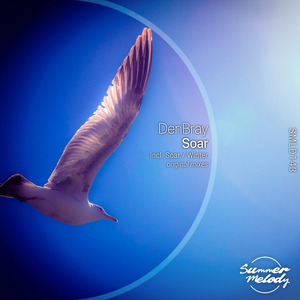 Soar (Original Mix)