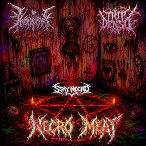 NECRO MEAT (feat. TRIP DENSO)