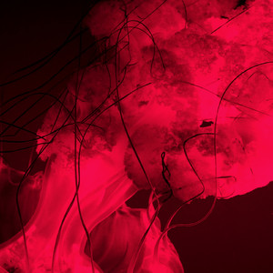 Iteration (Original Mix)