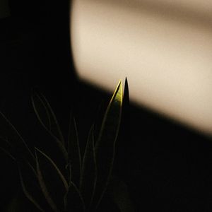 e1e2_3edf_77a8_a8f0afce9c60e492219a0bf995a1f77a