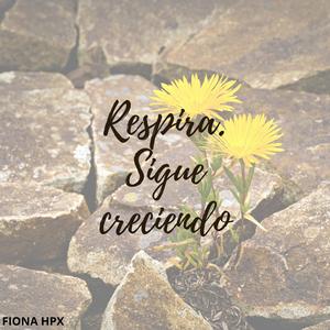 Respira sigue creciendo