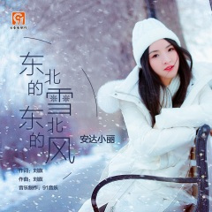 东北的雪东北的风 (DJ默涵版)