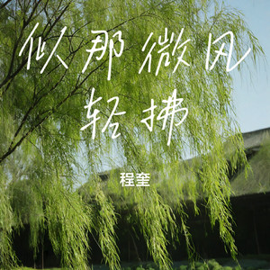 似那微风轻拂