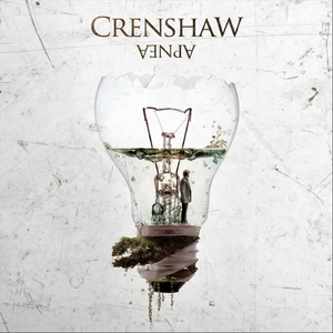 Il Suicidio Del Riccio