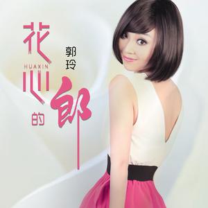 花心的郎 (Dj何鹏版)