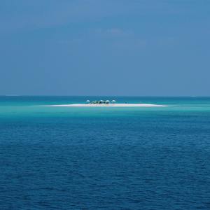 Vast Horizon