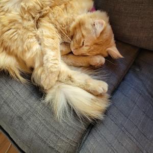 Spinning 2 (Dance Version)