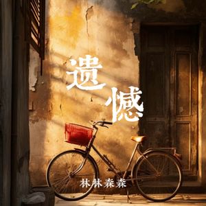 遗憾