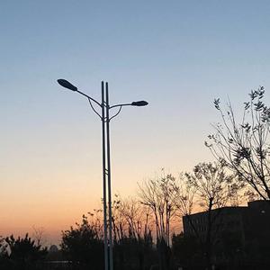 苏东坡