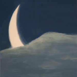 さよならミッドナイト (arranged ver.)