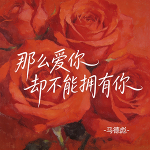 那么爱你却不能拥有你