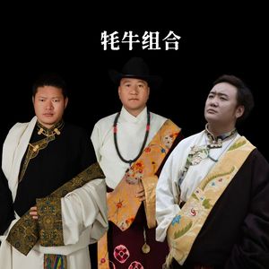 若伤月儿心