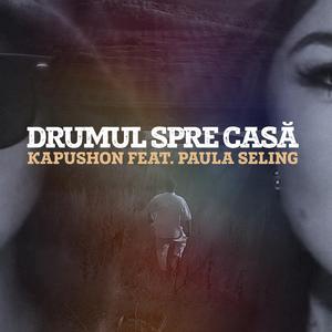 Drumul Spre Casa (feat. Paula Seling)