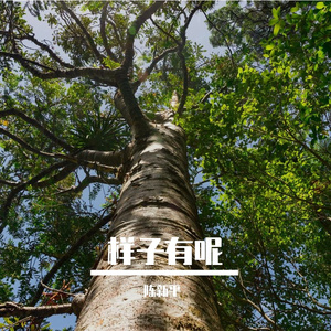 幸福就是知足常乐 作词：陈新平 作曲：陈新平 演唱：陈新平 编曲：陈新平