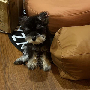 20260107_002556172.wav