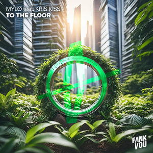 To the Floor (Extended Mix)