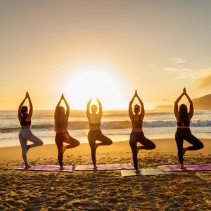 Acordes De Yoga Enraizados
