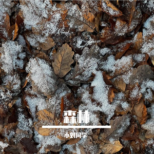 钢琴跃动唤醒旅人愉悦