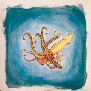 Cephalopod