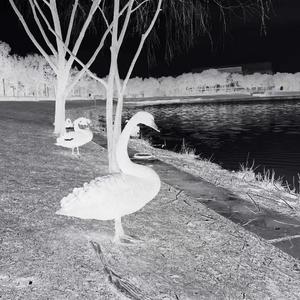 章节一：新章 - 新章