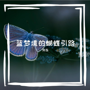 蓝调星空下的影子双人舞