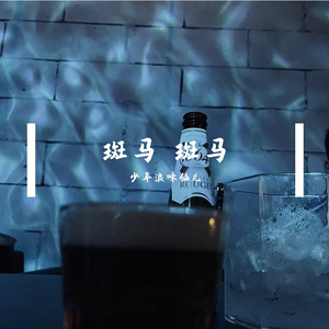 斑马斑马（Cover宋冬野）