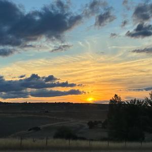 Love Under the Stars