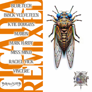 Triplicate (Vincere Remix)