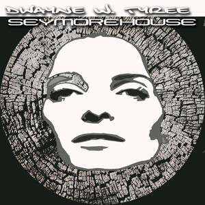 Seymore House (Original Mix)