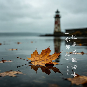 往事只能回味（乐部版）