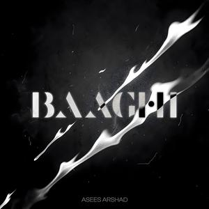 Baaghi