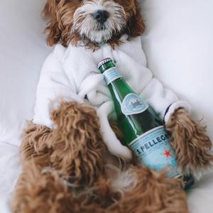 幽默风趣诙谐配乐