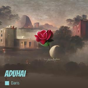 Aduhai (Remix)