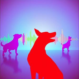 멍멍 (What Are You Saying)