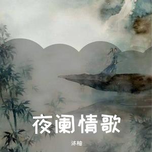 夜阑情歌（抖音女声版）（Cover白嘉峻）
