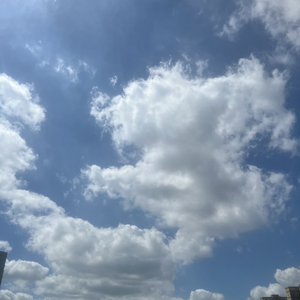空白