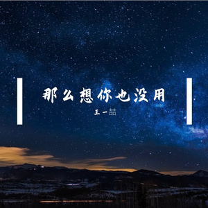 那么想你也没用