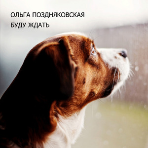 Поехала крыша