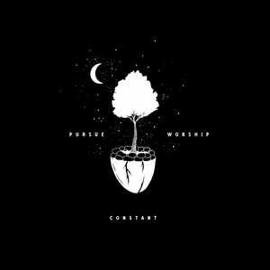 Constant [Stripped]