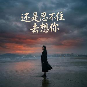 还是忍不住去想你