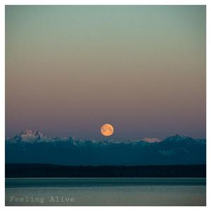 Feeling Alive