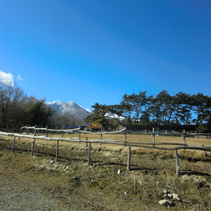 唄うたいのひとり言