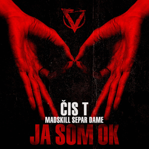 Ja Som Ok (feat. MadSkill, Dame & Separ)