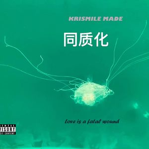 决定 （prod.wrbiii）