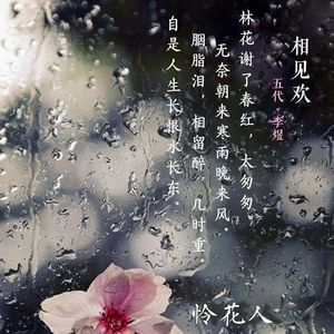 怜花人 伴奏