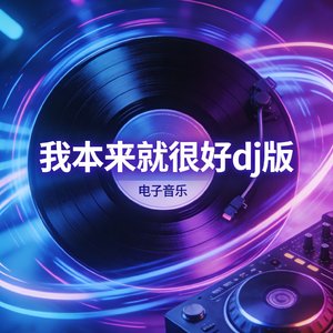 我本来就很好dj版